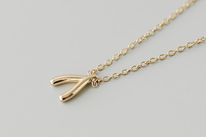 Gold Lucky Wishbone Necklace