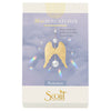 Protection Wings / Mini Suncatcher