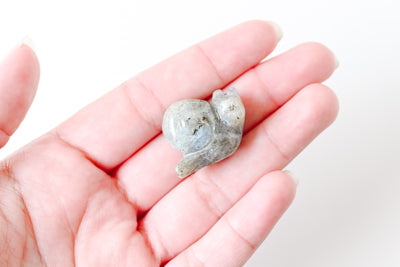 Mini Labradorite Snail