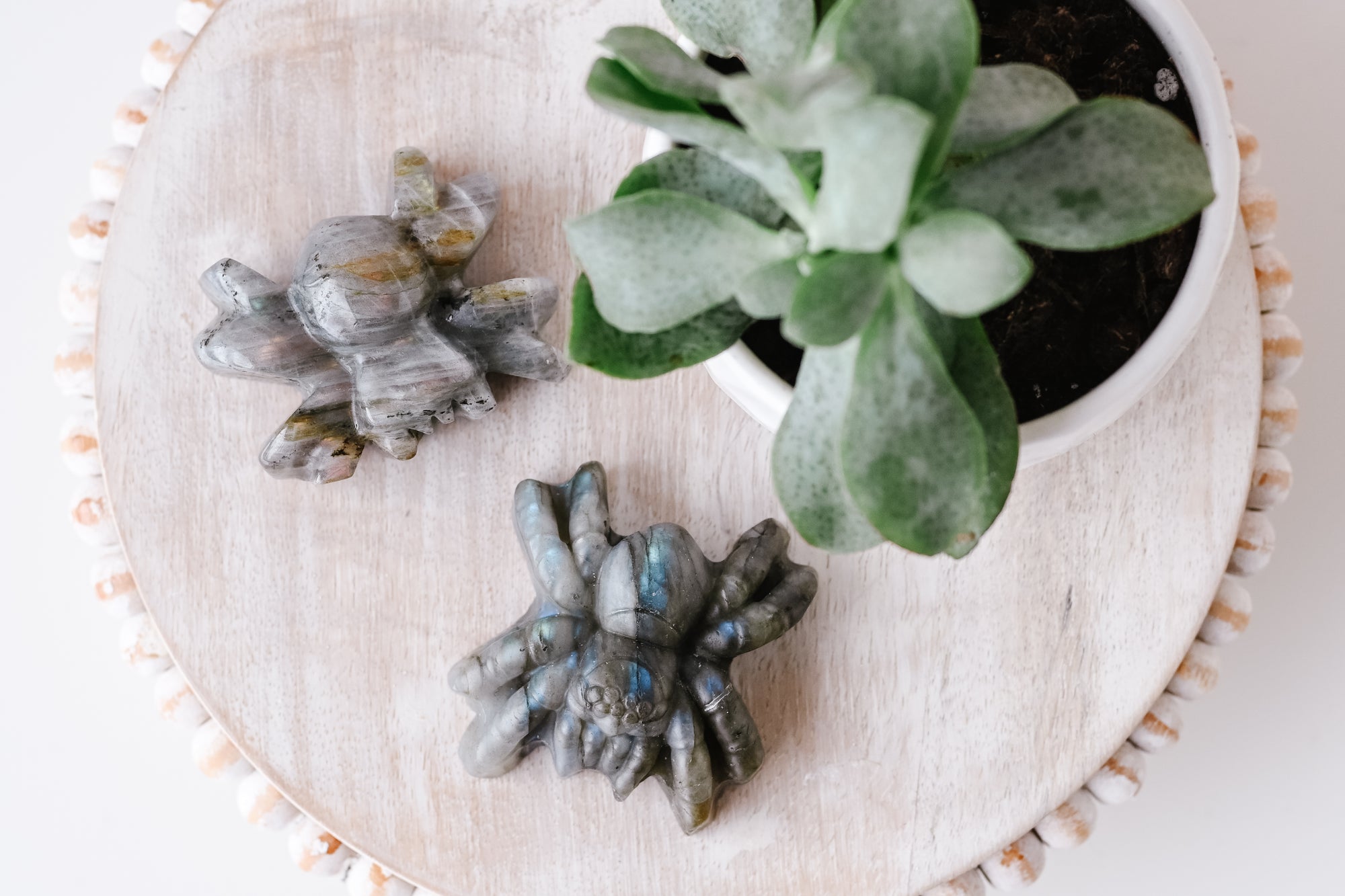 Labradorite Tarantula