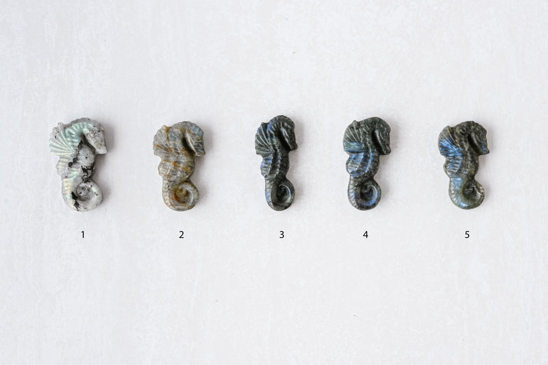 Labradorite Seahorse
