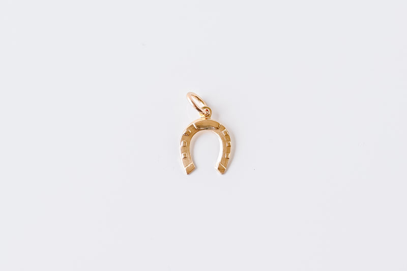 Perfect Fit Gold Filled Horseshoe Charm