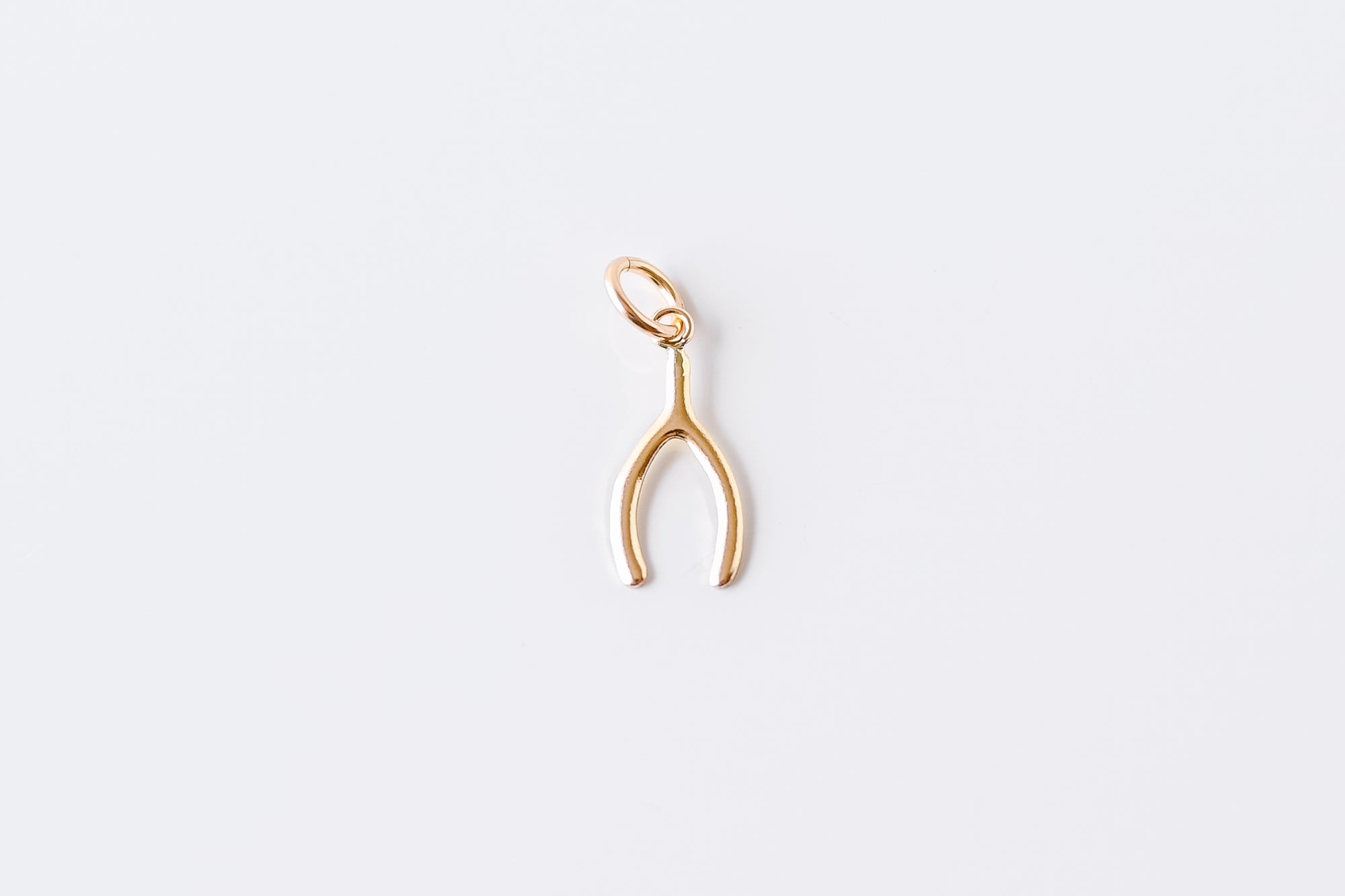 Perfect Fit Gold Filled Wishbone Charm