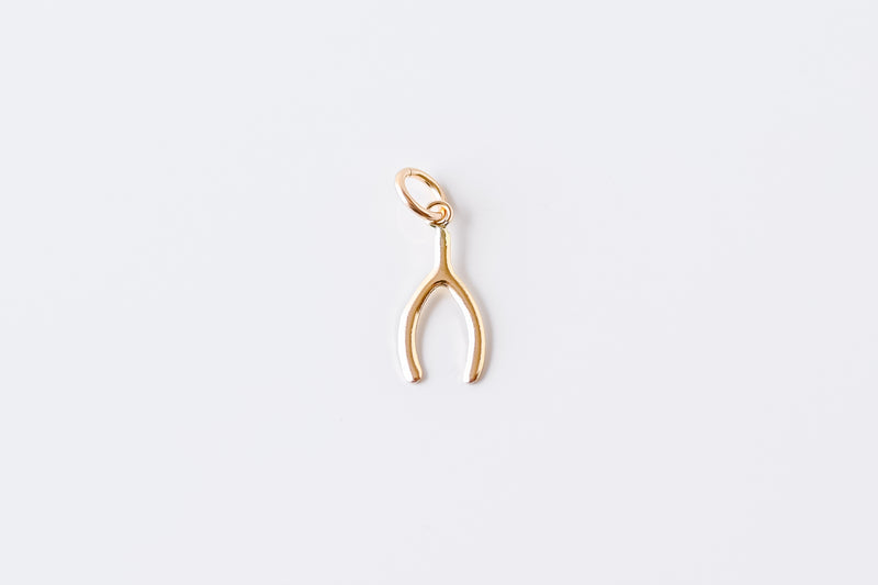 Perfect Fit Gold Filled Wishbone Charm
