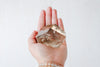 Medium Smoky Quartz Geometric Free Form