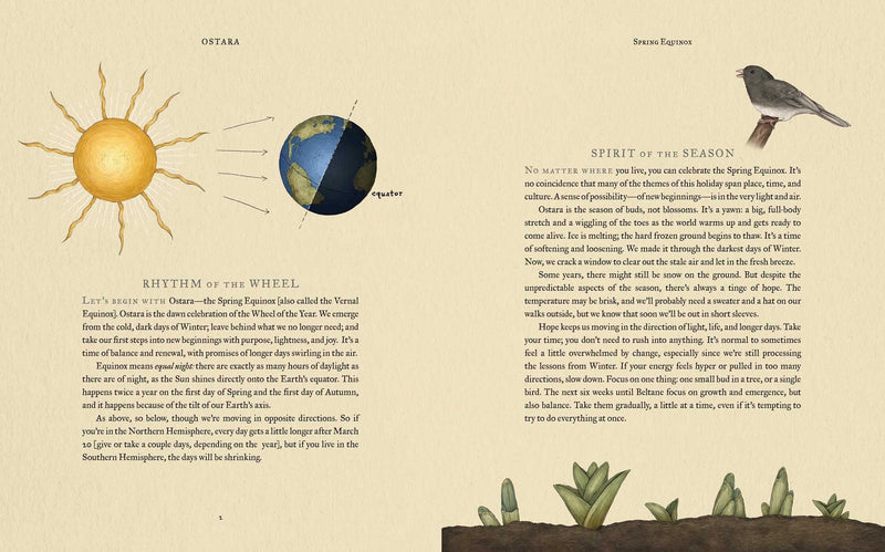 The Wheel of the Year Book