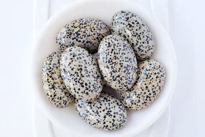 Dalmatian Jasper Palm Stone - Catalyst & Co