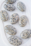 Dalmatian Jasper Palm Stone - Catalyst & Co