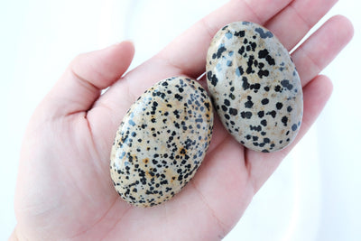 Dalmatian Jasper Palm Stone - Catalyst & Co