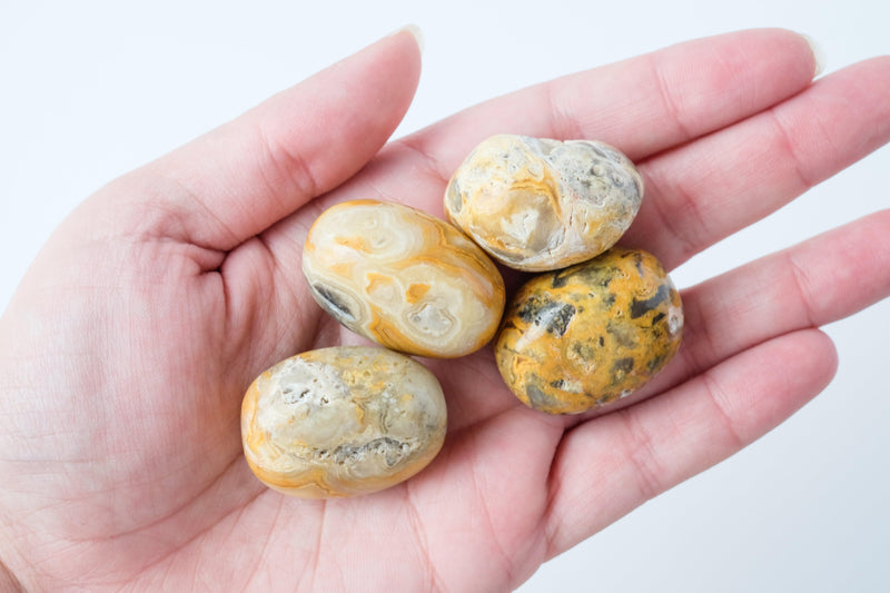 Crazy Lace Agate Tumbled Stone - Catalyst & Co