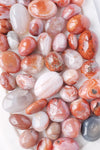 Red Banded Agate Tumbled Stone - Catalyst & Co