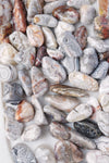 Mexican Agate Tumbled Stone - Catalyst & Co