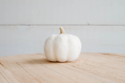 Small Cream Felt Pumpkin - Catalyst & Co