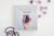 Crystals Book - Catalyst & Co