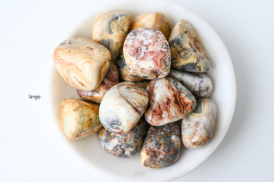 Crazy Lace Agate Tumbled Stone - Catalyst & Co