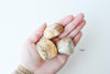 Crazy Lace Agate Tumbled Stone - Catalyst & Co