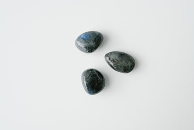 Dark Labradorite Tumbled Stone - Catalyst & Co