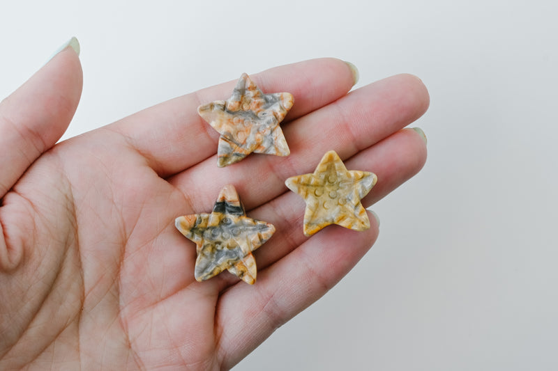 Crazy Lace Starfish