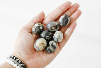 Black Flower Agate Tumbled Stone