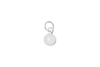 Moonstone Charm (April, June) - Catalyst & Co