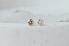 Gold Crystal Earrings - Catalyst & Co