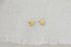 Gold Star Earrings - Catalyst & Co