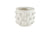 Small White Dot Pot